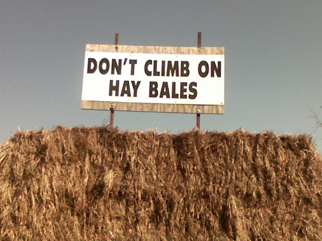 haymaze3.jpg