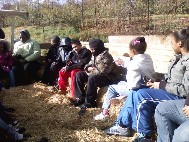 hayride.jpg