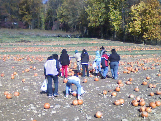 thepumpkinpatch4.jpg